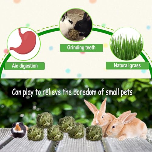 kathson Natural Rabbit Grass Ball,Timothy Grasses Chew Toys,Natural Weaving Molar Tooth Toy,Bunny Activity Play Balls for Chinchillas Hamster Guinea Pig and Small Animal (6 PCS) - color: Grass green