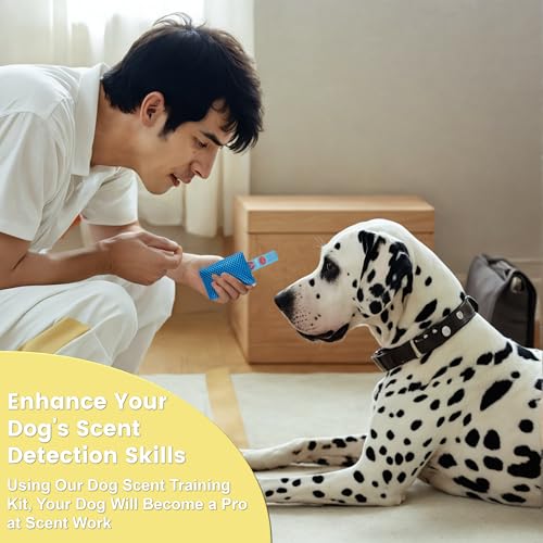 Dog Scent Training Kit for Dogs - 6 Scent Work Tins, Hides & Nosework Bags