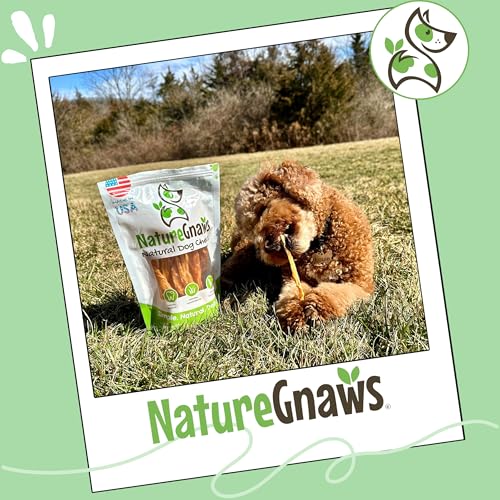 Nature Gnaws USA Turkey Tendons Dog Treats, 4 oz - size: 4 Ounce (Pack of 1), style: Tendons