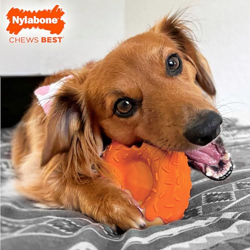 Nylabone Power Chew Novelty Donut Durable Dog Chew Toy, Large - color: Pumpkin, size: Large