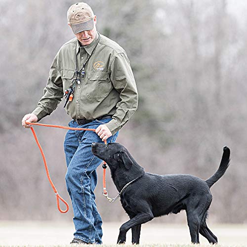 SportDOG Roy Gonia Special Whistle - Long-Range Projection Hunting Dog Field Training Whistle - Ear-Friendly & Ergonomic Design - Durable Plastic Construction (Pack of 12) - size: With Pea (Pack of 12)