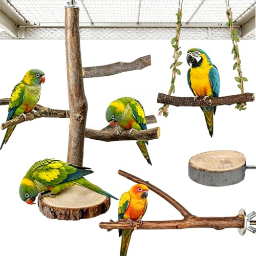 Bird Perch Swing for Cage Accessories - Natural Wood Parrot Perch for Parakeet Budgie Cockatiel Toys
