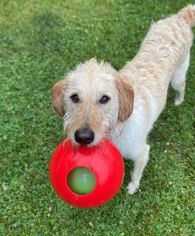 Jolly Pets Teaser Ball Interactive Dog Toy, 4.5 in Small, Red - color: Red, size: Small (4.5 in)