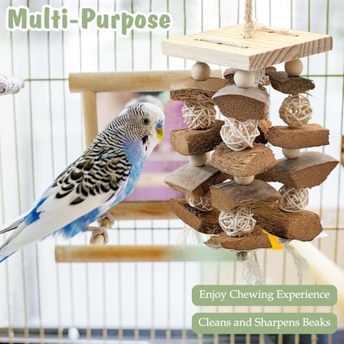 PINVNBY Bird Toys Parrot Toys, Natural Wood Bird Chewing Toys, Parakeet Hanging Toys for African Grey Macaws Cockatoos Eclectus Small and Medium Parrots(with Coconut Shell) - size: D: With Coconut Shell