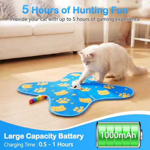 Interactive Cat Toys for Indoor Cats, Rechargeable Hide & Seek Toy - color: Blue