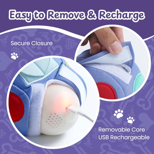 Interactive Dog Toy, Treat-Hiding Geo Bouncing Ball with Shape Pockets - style: Geo Ball
