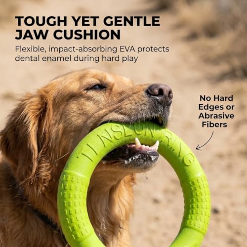 Large Dog Toy Ring and Ball Combo Set, Floating EVA 2 Pack (Green, Large) - color: Green, size: Large
