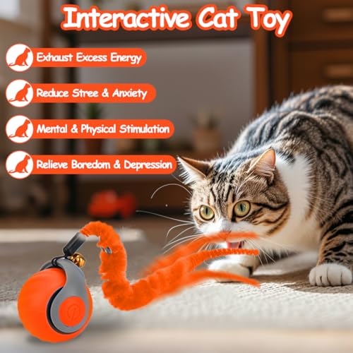 Mity rain Interactive Cat Toy Ball, Rechargeable Cat Toys for Indoor Cats - color: Orange