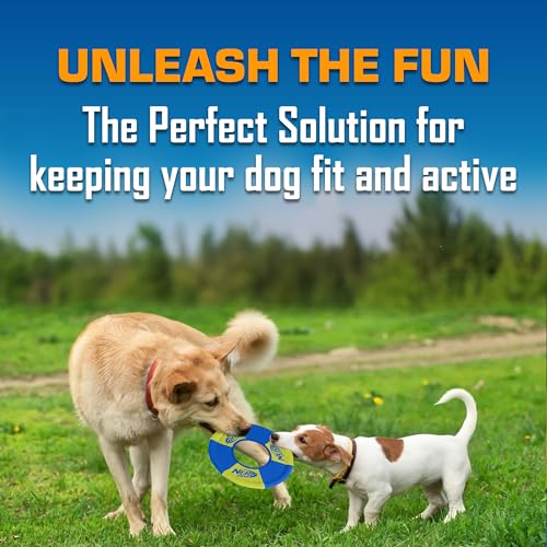 Nerf Dog Trackshot Toss and Tug Ring Outdoor Dog Toy 2 Pack, 9 Inch Dog Tug and Fetch Toy, for Medium and Large Breeds, Blue/Orange/Green - size: Medium