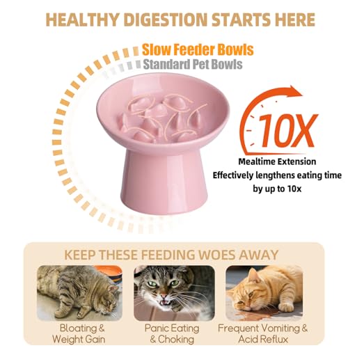 Ceramic Elevated Slow Feeder Cat Bowl - 6" Raised Cat Food Bowl for Bloat Relief & Anti-Vomiting, Whisker Friendly Ceramic Cat Slow Feeder for Indoor Cats, Kittens, Puppies - Pink(1pc) - color: Pink