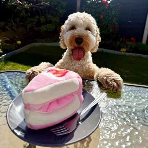 CHEWFFON Dog Interactive Toy, Snuffle Strawberry Cake for Enrichment - style: Strawberry Cake Slice