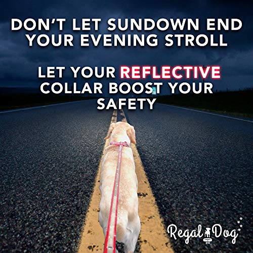 Regal Dog Products Reflective Dog Collar & Leash Set, Metal, Small Yellow - color: Yellow, size: Small Collar & Leash