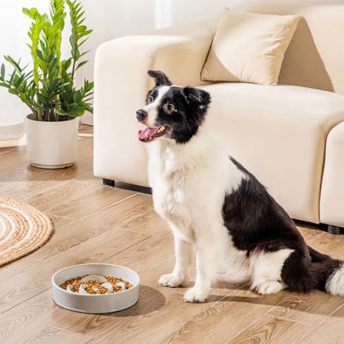 vancasso Slow Feeder Dog Bowls, 3 Cups Ceramic Puzzle Dish for Large Breeds - color: Light Gray, size: L - 3 Cups