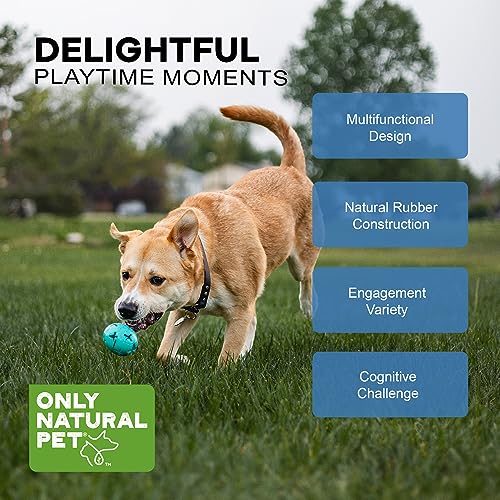 Only Natural Pet Rubber Boredom Buster Treat Stuffer Dog Toys - Interactive Stuffable Feeder Dispenser Fillable Durable Play Puppy Medium Large XS Chew Pup Hide Holder Easy Refill -RubberBall/Teal - color: Teal