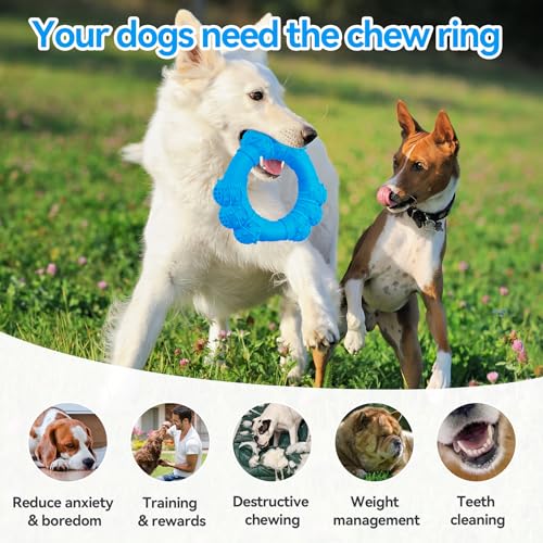 Indestructible Dog Chew Ring Toys for Aggressive Chewers, Super Chewer Toy for Medium Large Dogs, Puppy Teething Rings for Relax, Interactive Dogs Toy, Heavy Duty Dog Teething Toys - color: Blue