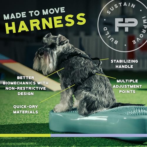 FitPaws® Made to Move® No-Pull Dog Harness, Neck Buckle, Teal, Small - color: Teal, size: Small