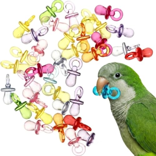 Milisten 50pcs Parrot Bird Chew for Parrots Cockatiels DIY Bird Cage Ornament Bite Chewing Plaything for Small Birds