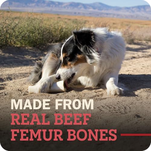 Redbarn Pet Products Large Filled Dog Bones, Cheese & Bacon Flavor - Long Lasting Stuffed Femur Chew Treat Made in USA - 4 Count - Packaging May Vary (Pack of 3) - size: 4 Count (Pack of 3)