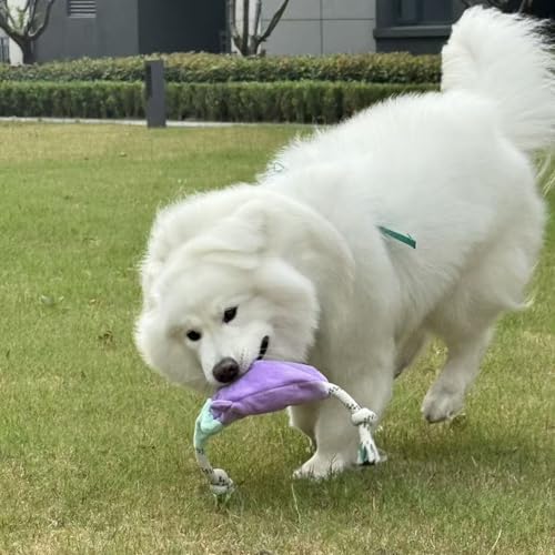Green Sheep Interactive Plush Dog Toy, No Stuffing Squeaky Toy with Recycled Cotton Rope for Medium to Large Dogs, Chew Toy, Aubergine - color: Aubergine（L）