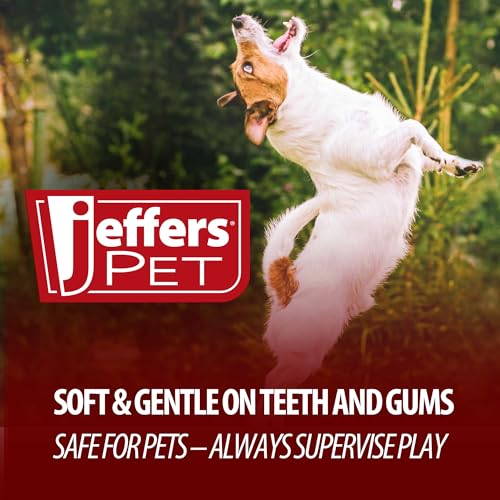 Jeffers Pet Plush Bone Squeaker Dog Toy, 14" - Pink Bunny - color: Pink Bunny