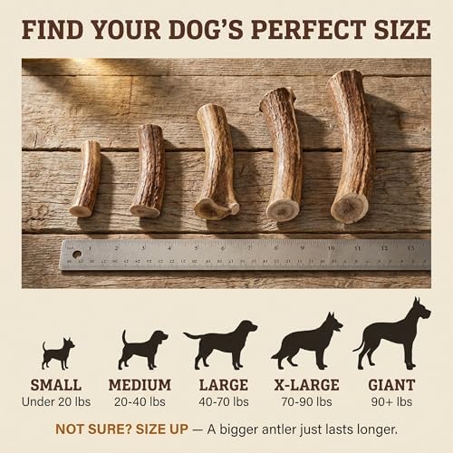 Heartland Antlers Deer Antler Dog Chew, XL 8-10 in, 65-85 lb Dogs - style: X-Large (Dogs 65-85 lbs)