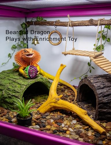 10-Pack Bearded Dragon Toys for Small Reptile Cage Enrichment