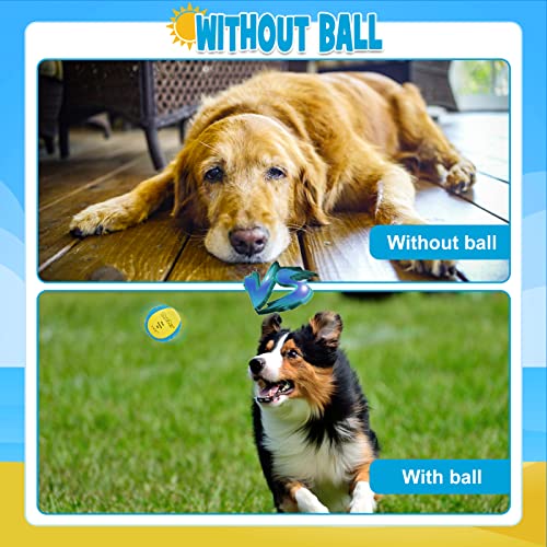 BINGPET Dog Pool Toy Floating Balls, 2 Pack Summer Dog Water Ball