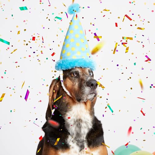 BarkBox The Party Farter Dog Toy - Fun for Dogs - color: The Party Farter