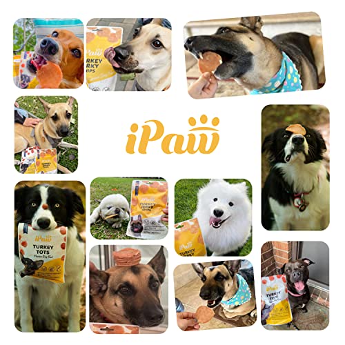 iPaw Turkey Tots Dog Treat, SQF-Certified Production Process,Training Treat - size: 3.5 Ounce (Pack of 3), style: Turkey Tots
