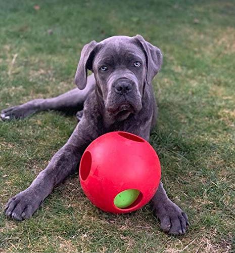 Jolly Pets Teaser Ball Interactive Dog Toy, 8 in Large, Red - color: Red, size: Large (8 in)