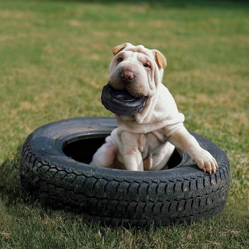 KONG Extreme Tires Natural Rubber Chew Toy, for Medium/Large Dogs - size: Large