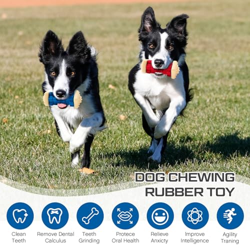 Aliceset 2 Pcs Dog Toys for Aggressive Chewers Tough Durable Indestructible Puzzle Interactive Dog Cognitive Chew Toys with Beef Flavor, Safe Rubber Bone Shape Enrichment Gift to Keep Them Busy
