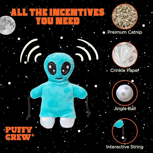 Interactive Catnip Cat Plush Toy, Space Travel Theme, 5‘’, for All Breed Size Cats (Alien) - color: Alien