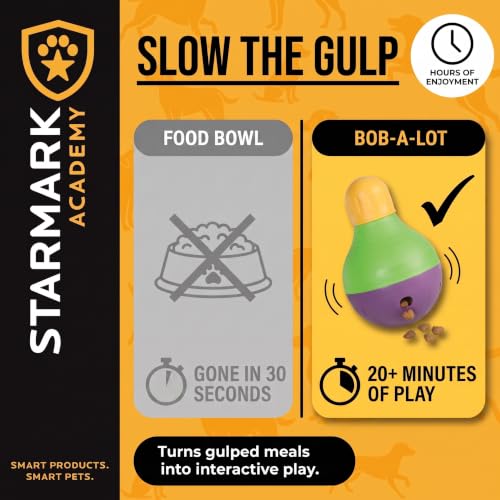 Starmark Treat Dispensing Bob-A-Lot Large Dog Interactive Feeder Toy - size: Large