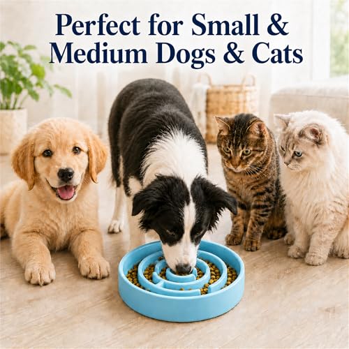 Ceramic Slow Feeder Dog Bowl 1.5 Cup Puzzle Dish for Small Medium Dogs - color: Ceramic-Blue
