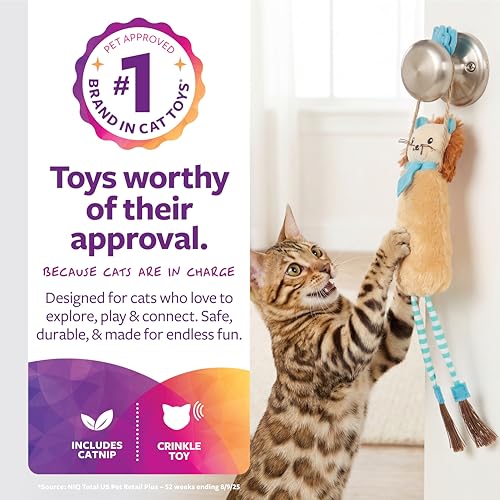 SmartyKat Loopy Lion Door Hanging Breakaway Kicker Catnip Cat Toy