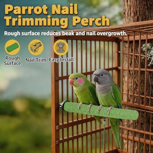 3 Pcs Parakeet Perches Set, 2 Bird Nail Trimming Perches and Colorful Swing
