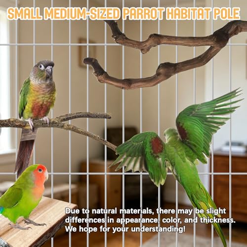 5PCS Bird Perch Stand, Bird Perch Stand Natural Wood Standing - color: Wood