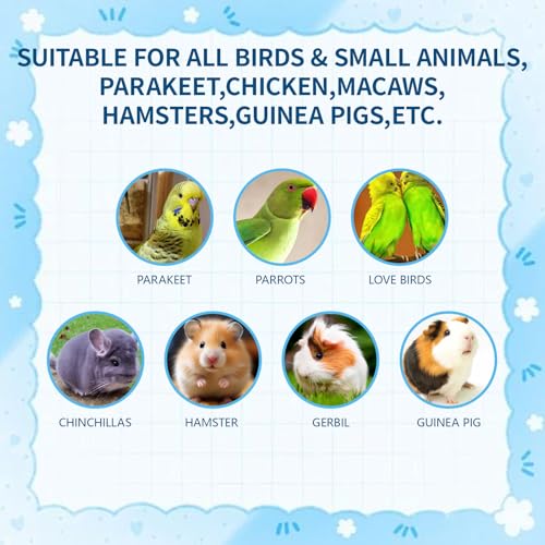 Foraging Toys for Birds, 2PCS Parrot Feeder Chew Toy Balls, Bird Foraging Toys for Parakeets and Cockatiels, Bird Chew Toys for Parrots, Slow-Feeding Pet Enrichment Toy
