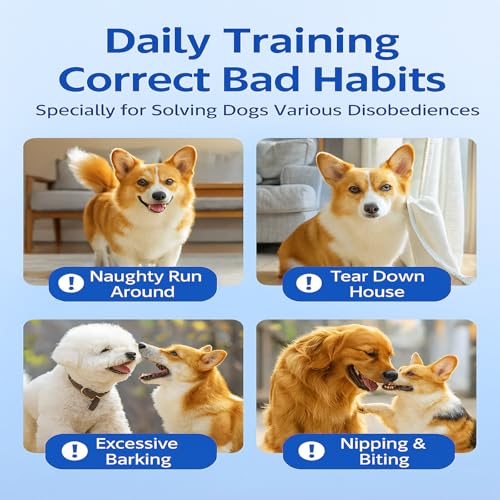 Dog Training Stick for Puppies and Dogs, Flexible Exercise Stick, Obedience Training Tool(Blue)