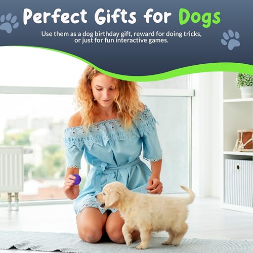 Small Dog Treat Balls — 2-Inch Solid Rubber Stuffable Toys with Hole, 4 Pack — Stuff with Peanut Butter, Freeze, Fetch, or Chew | Small Breeds & Puppies | Mesh Storage Bag - size: Small