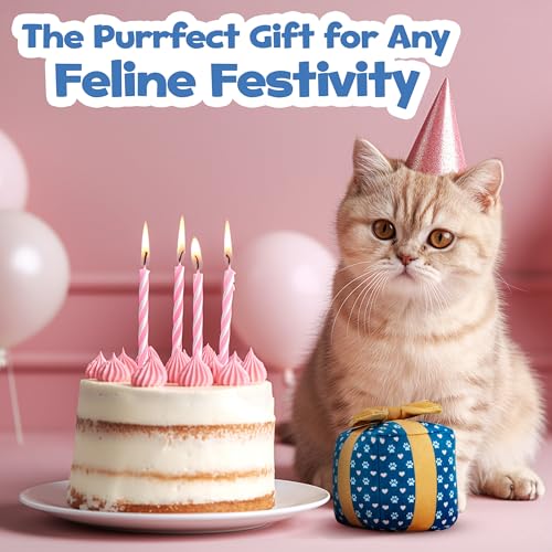 PUPROAR Gift Box Cat Birthday Toy, Plush Catnip & Crinkle Kitten Gift for Indoor Cats & Kittens