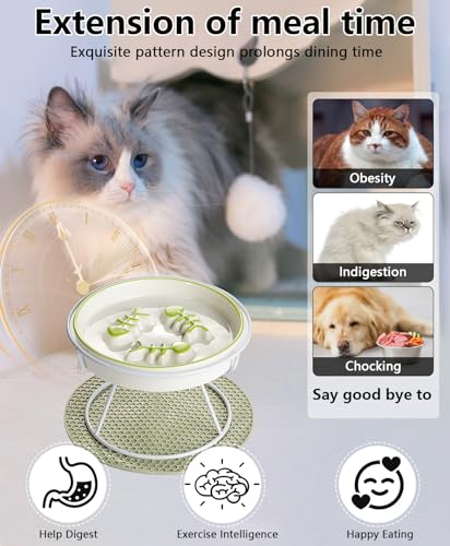Ceramic Elevated Slow Feeder Cat Bowl, Anti Vomit, Removable Dish, Green - color: Green