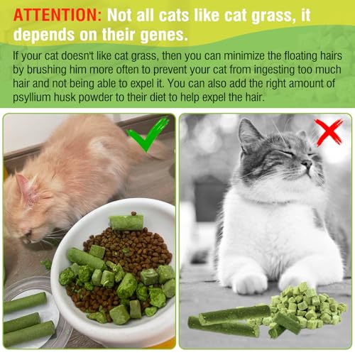 30g Cat Grass Sticks, Cat Grass Treats for Teeth Cleaning Hairball Removal