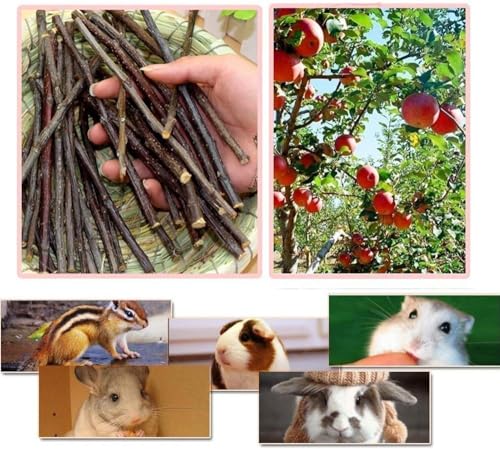 William Craft Apple Sticks Pet Chew Toy Treats for Chinchilla Guinea Pigs Rabbits Squirrel Hamster Bunny (Pack of 2) - size: 1.10 Pound (Pack of 2)