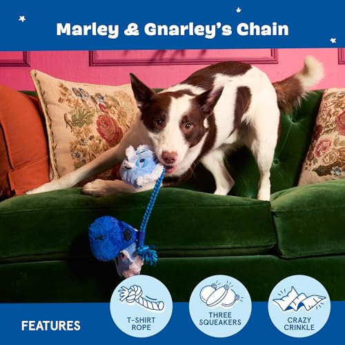 BarkBox Marley & Gnarley's Chain Dog Toy - Toy for Medium to Large Dogs - color: Marley & Gnarley’s Chain