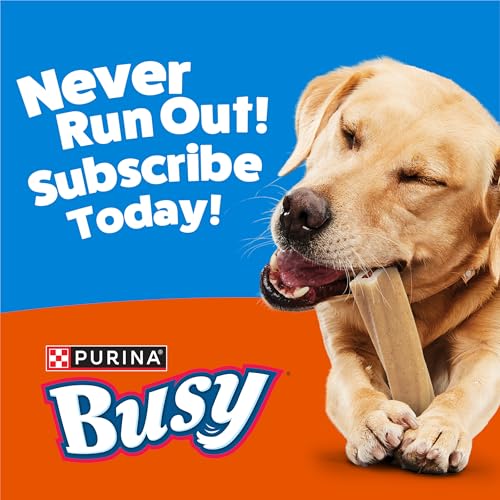 Purina Busy Bone Large Dog Chew Treats, Peanut Butter Flavor, 10 ct Pouch - size: 2.19 Pound (Pack of 1)