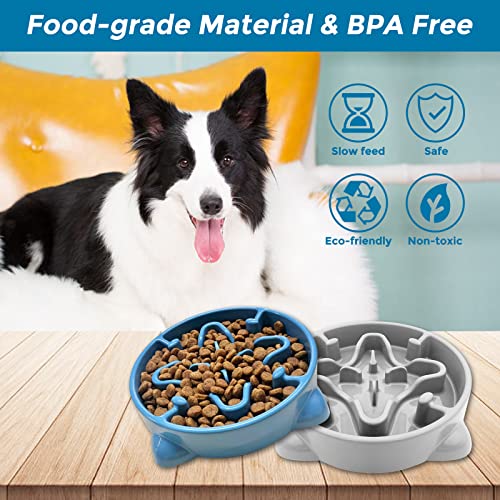 VANNON Slow Feeder Dog Bowls Durable Puzzle Feeder Non Slip Dog Food Dish Bloat Stop Food Bowls for Small Medium Dogs, 3 Cups, BPA Free, Blue - color: G-Blue-Medium-3Cups