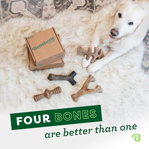 Benebone Large 4-Pack Dog Toys for Aggressive Chewers – Under 90 lbs - size: Large, style: 4 Pack