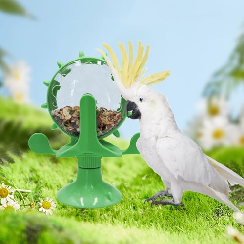 Oooct Bird Foraging Toys, Parrot Rotating Feeders, Bird Chewing Toys, Bird Enrichment Toys, Bird Cage Accessories, Suitable for Birds Parrots Parakeets Cockatiels Conures Lovebirds - color: Green